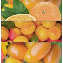Cifre Composicion citrus naranja